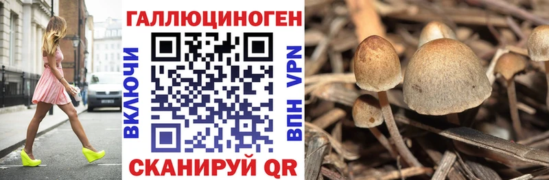 Псилоцибиновые грибы мухоморы  Купить закладки  Беломорск 